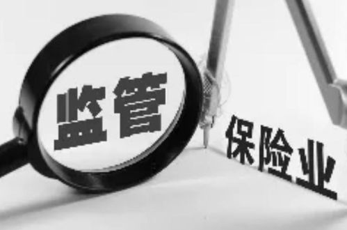 保險資產(chǎn)管理公司的資產(chǎn)管理 角色、挑戰(zhàn)與發(fā)展趨勢